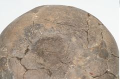 Foto von Keramikgefäß (NHMW-PRAE-003446)